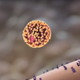 Illustration for article titled This is Why You Need a Flu Shot
